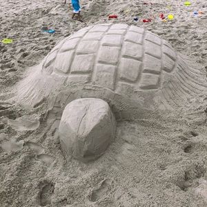 Meet your Posher, Teddy